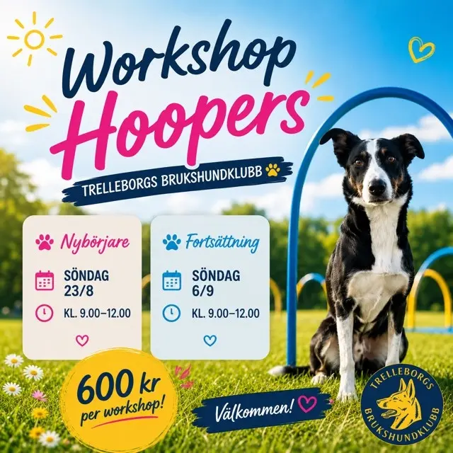 Hoopers Workshop Fortsättning