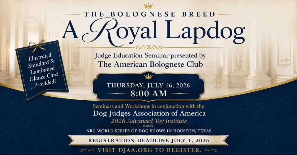 Bolognese Breed Seminar for AKC Judges