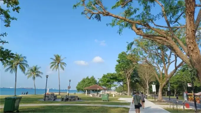 Changi Airport to Stadium MRT Station - 20 KM (Sat)