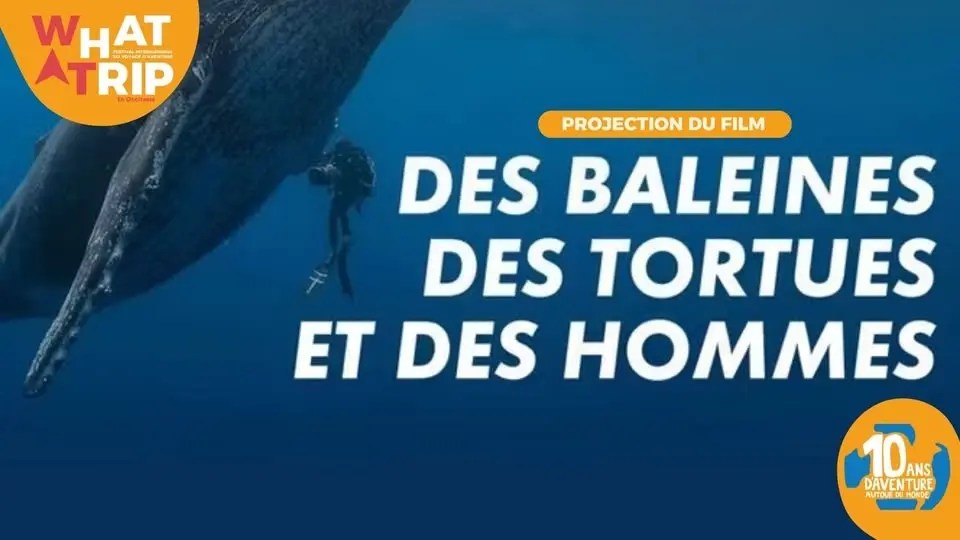Projection • Des baleines, des tortues et des hommes