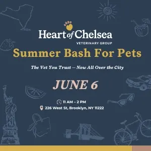 Summer Pet Bash - Greenpoint