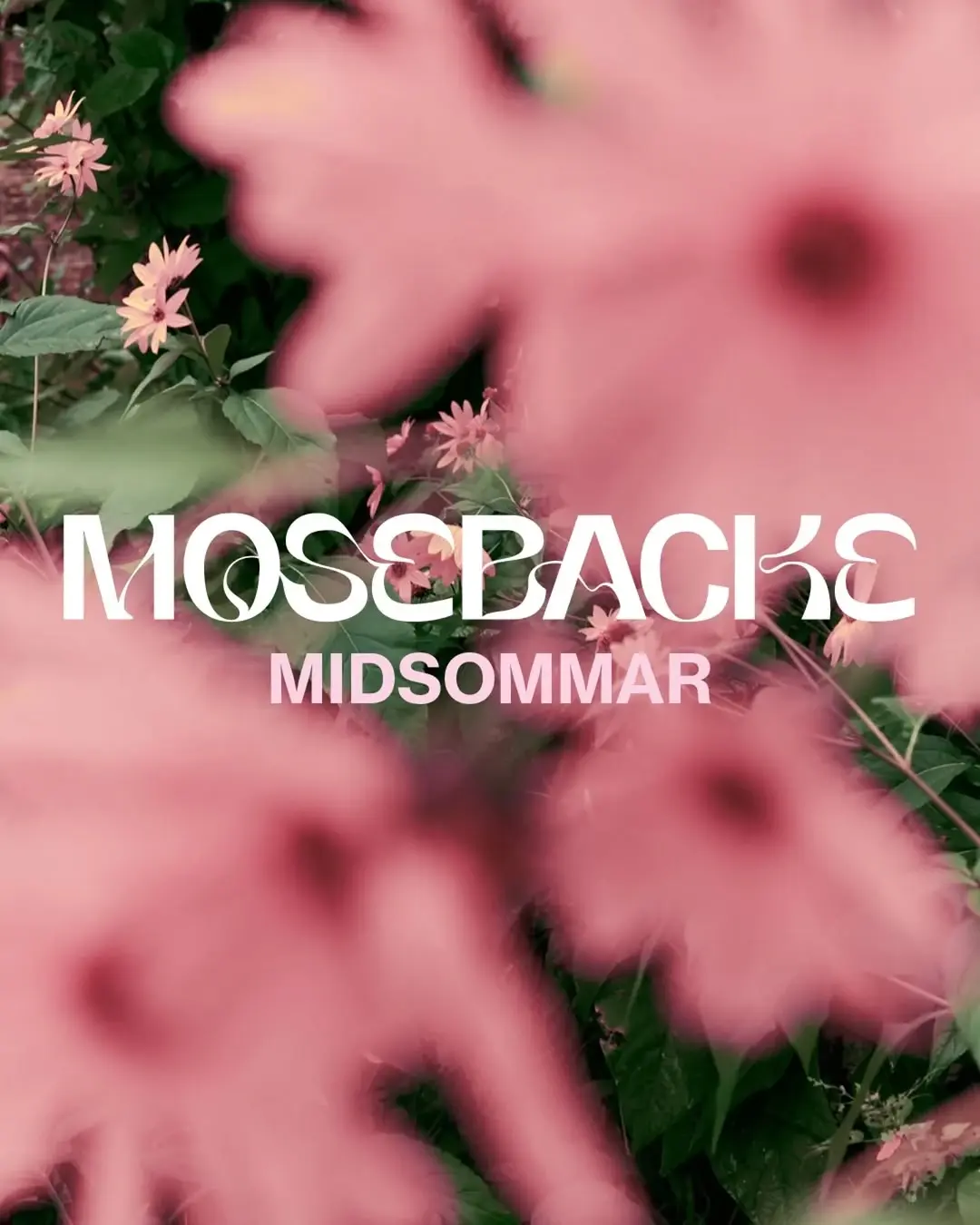 Midsommar på Mosebacke