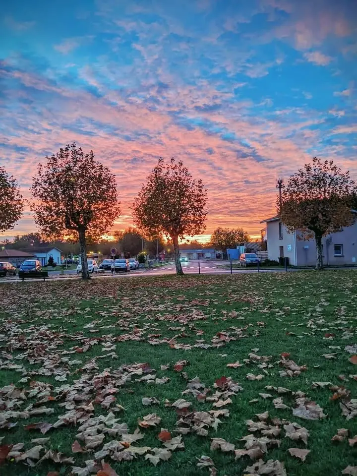 Vide maison