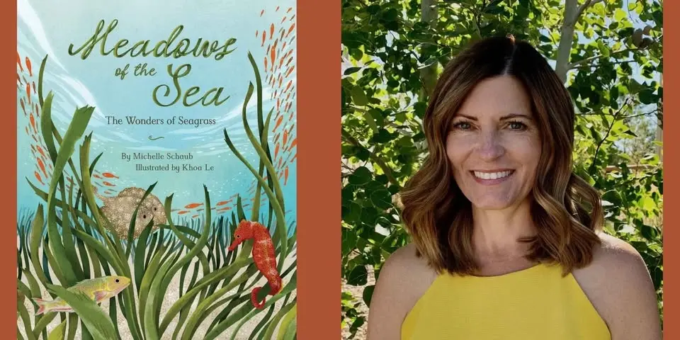 Michelle Schaub -- "Meadows of the Sea"