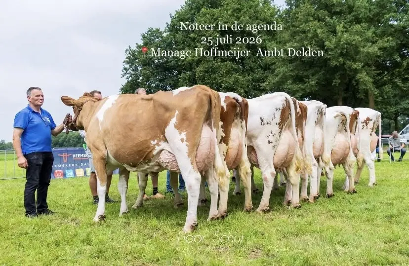Fokveedag Ambt Delden