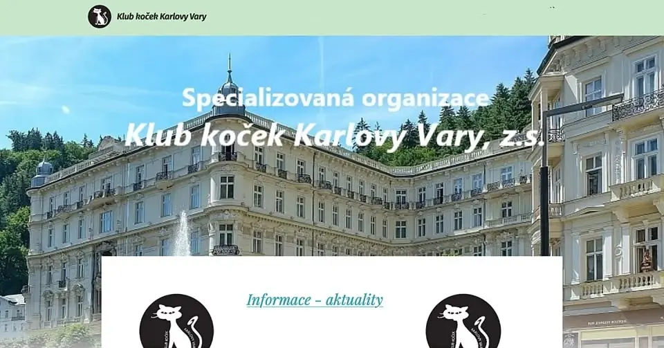 Mezinárodní výstava koček