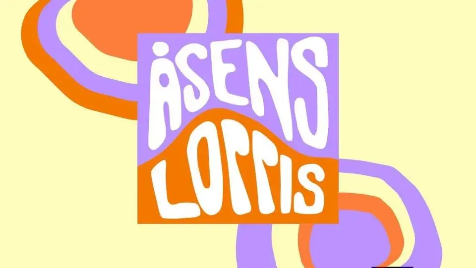 Åsens Loppis