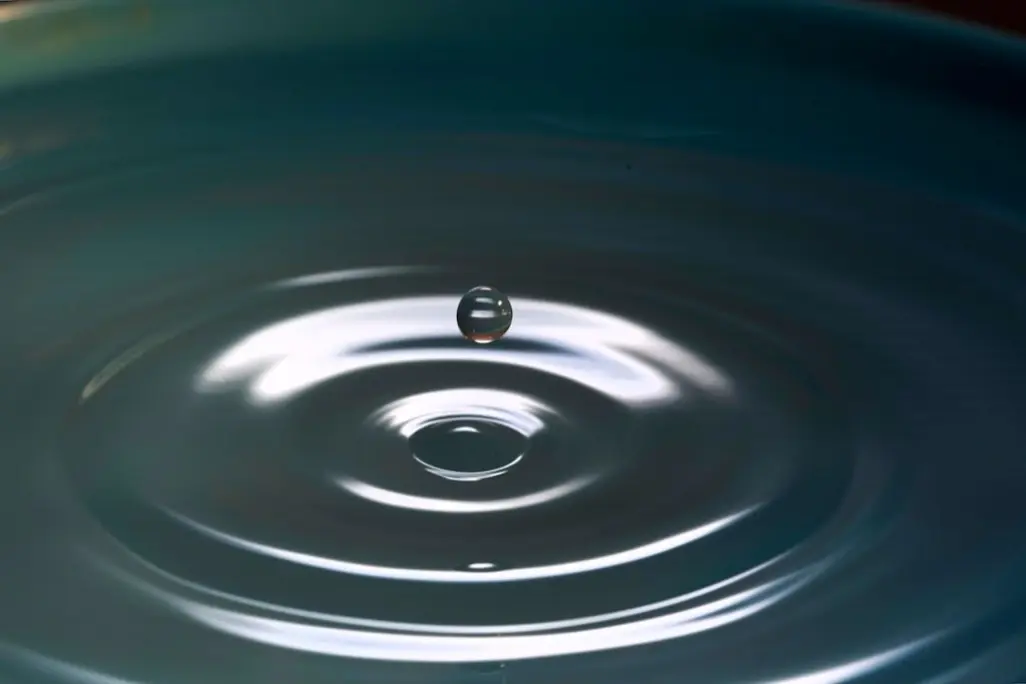 Fest för Själen – Sommar 2026