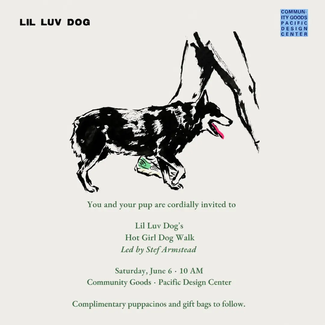 Lil Luv Dog Hot Girl Dog Walk