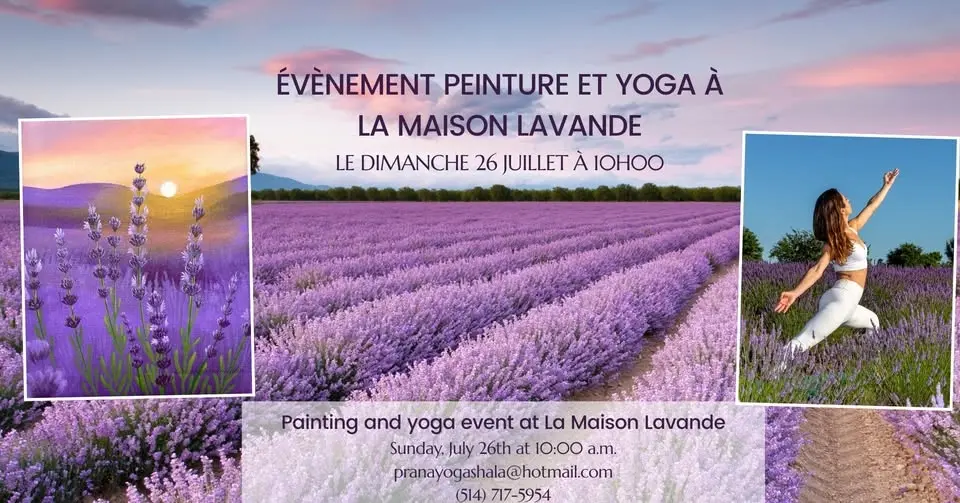Harmonie en Couleurs et Mouvement à La Maison Lavande
