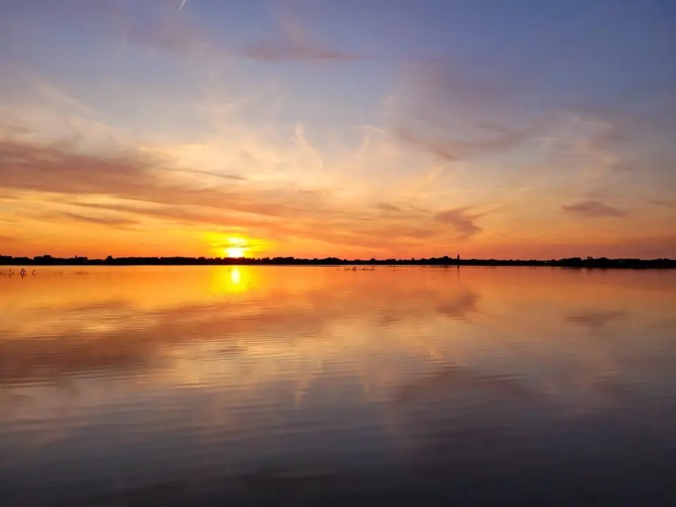 Vogels en zonsondergang in de polder
