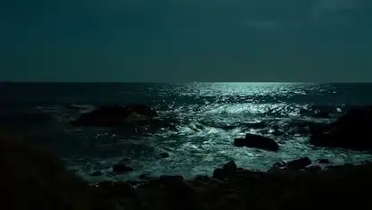 Paseo + 🩲👙baño 🏊‍♂️ + picnic 🧺 bajo la luna llena 🌕 