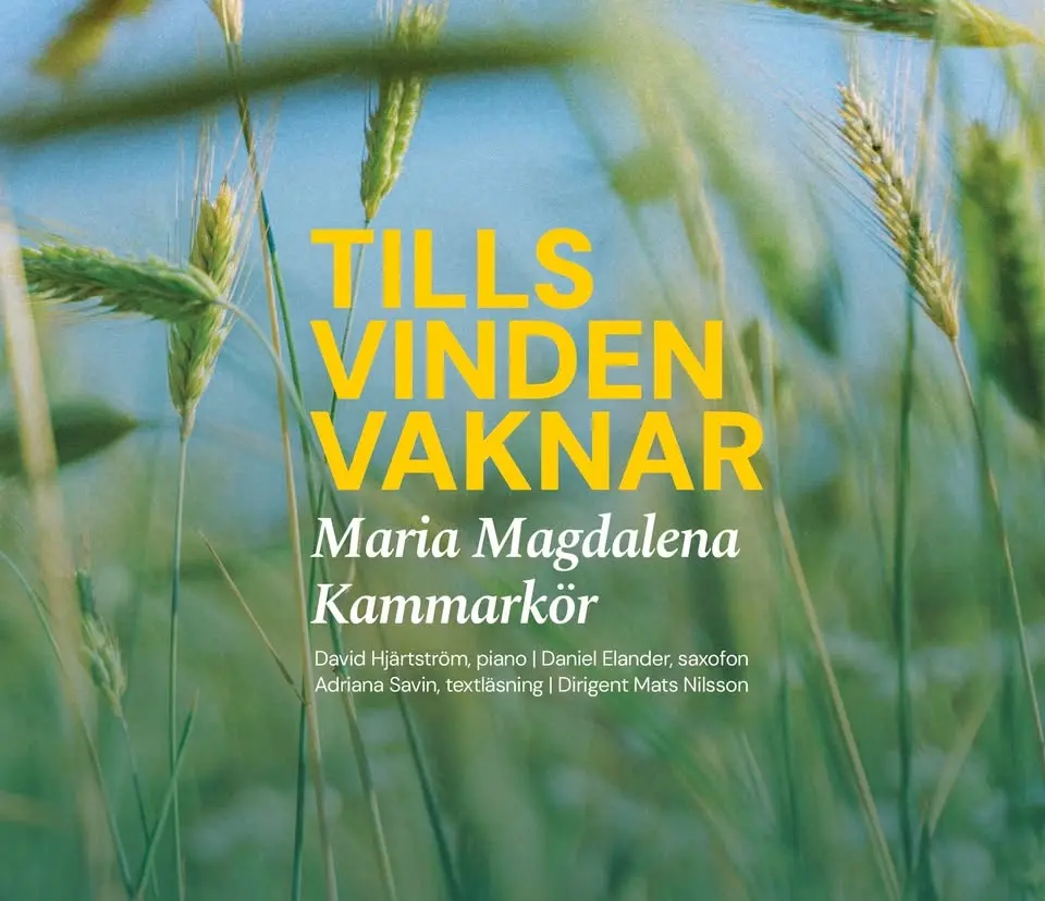 Nationaldagskonsert