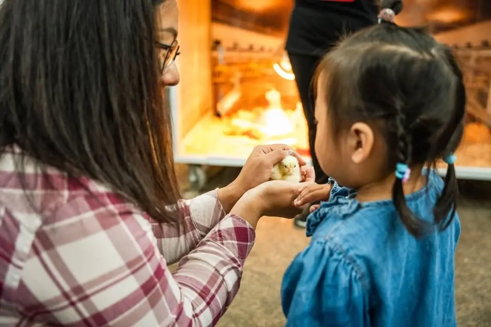 Open Farm Days at the WDM