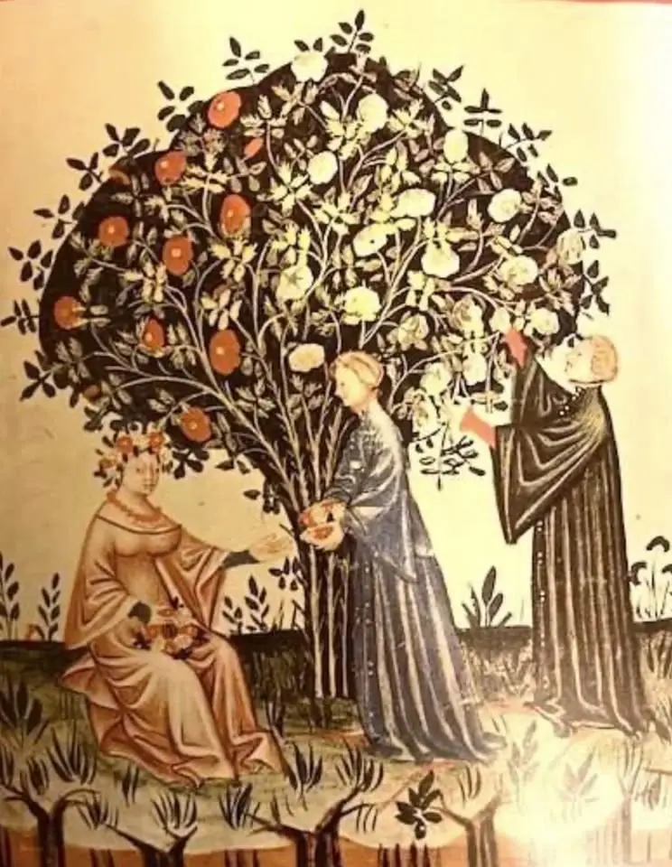 Festival of the Rose