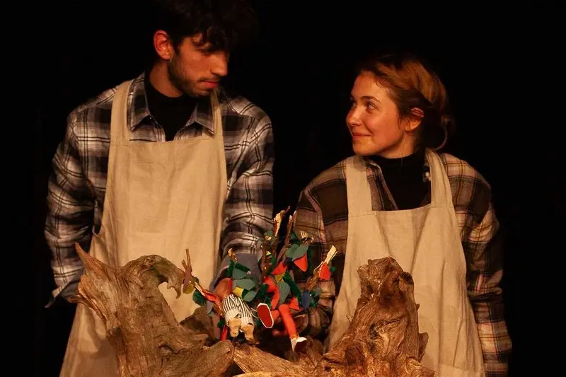 Mezi pařezy