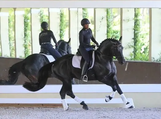 Philesha Chandler Clinic Rides