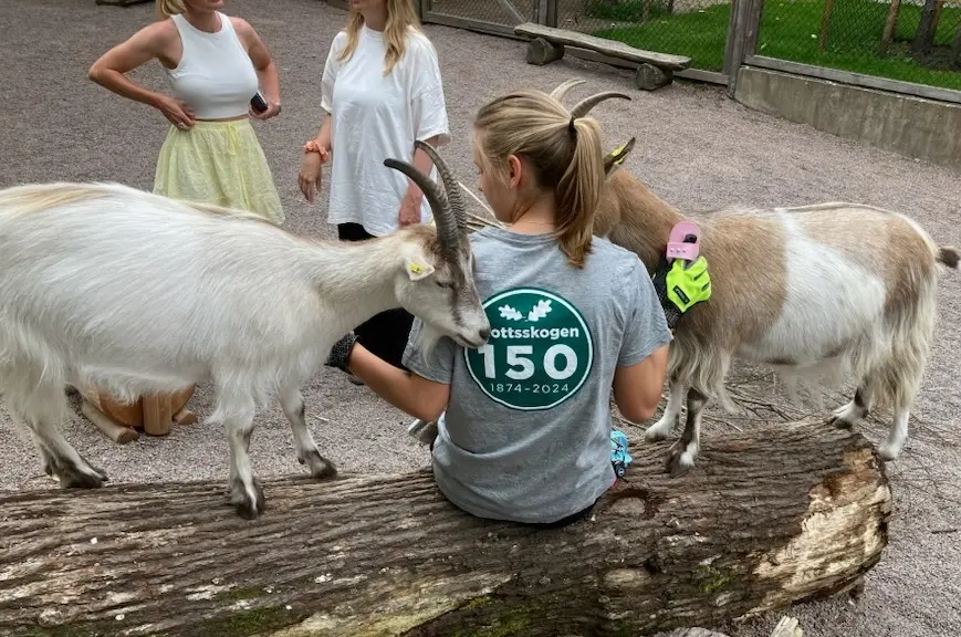 Barnens zoo öppnar 23 april!