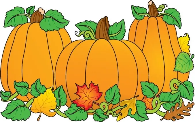 USA Dance: Thanksgiving Dance
