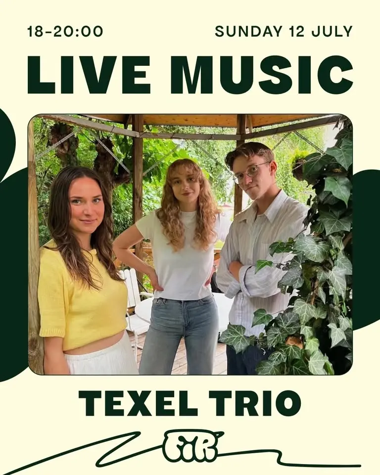 TEXEL TRIO play FIR