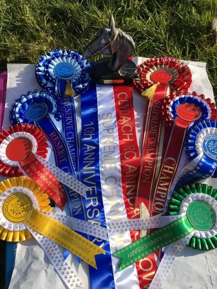 Clydach Riding Club Showing Show