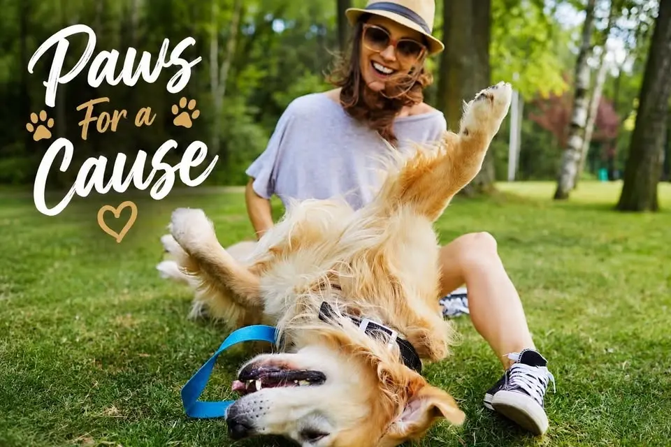 🐾 Paws for a Cause – Professional Dog Photo Day