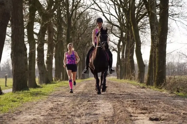 Ride & Run Onstwedde