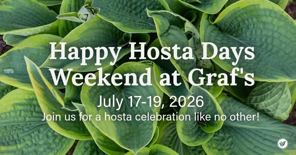 Happy Hosta Days Weekend at Graf's Garden Shop