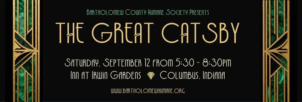 The Great Catsby