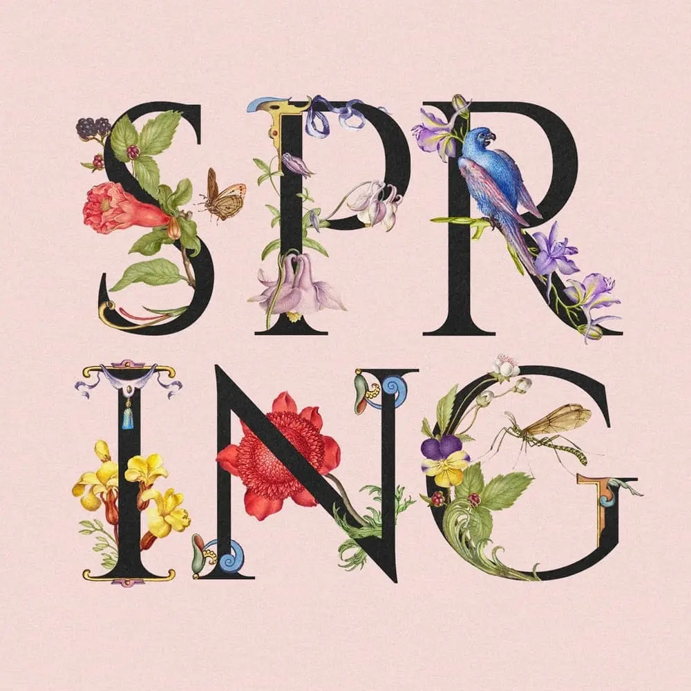 Village Spring Fest 2026