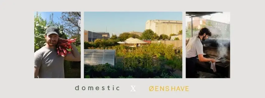 restaurant domestic X Øens Have 🌟 for one night only