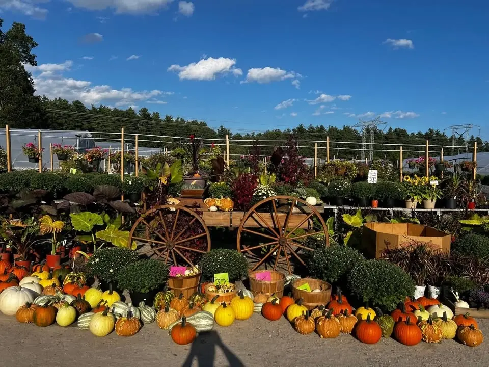 4th Annual Frizzhome Fall Fest