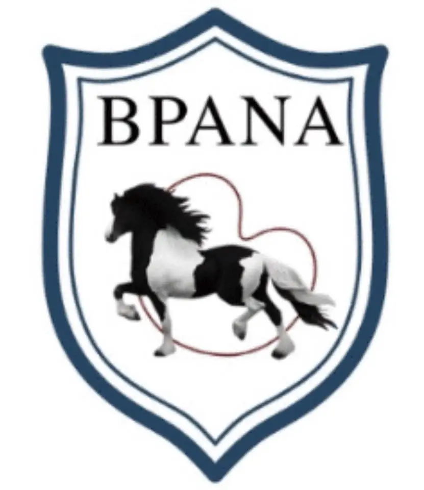 Alaska BPANA Inspection (Barock Pinto Association of North America)