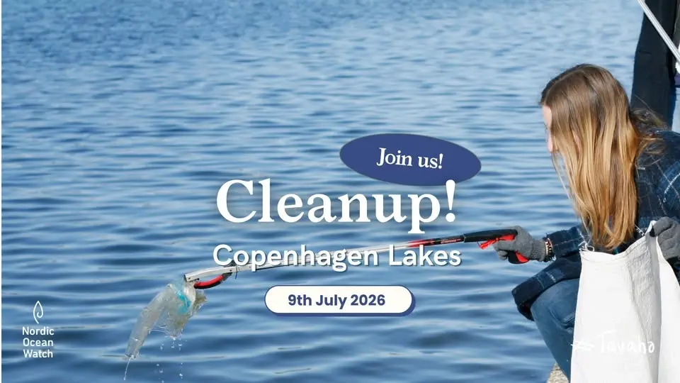 Cleanup at the Copenhagen Lakes – NOW x Arbejdermuseet