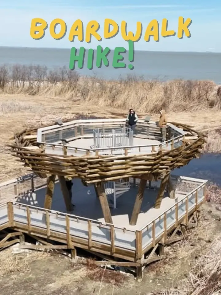 Boardwalk Hike