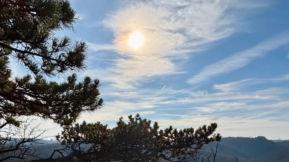 Reset Your Energy: Spring Forest Hike & Coaching