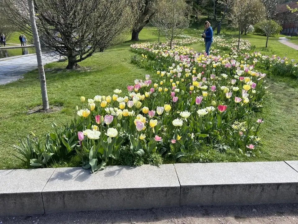 Vandring: Det gröna Göteborg - Slottsskogen och Botaniska
