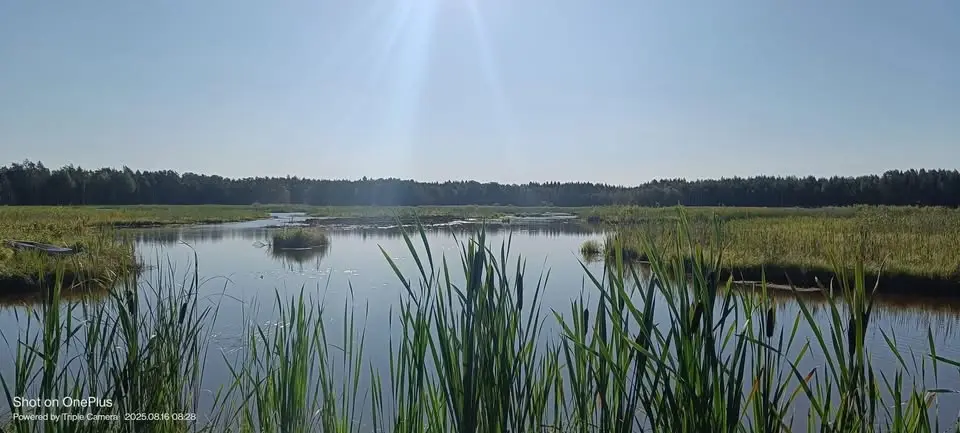 Kyrkans sommarkväll i Altuna