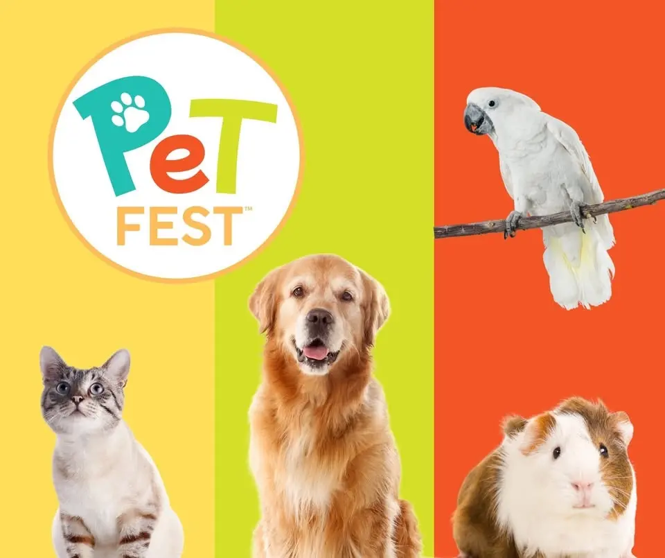 Colorado Springs Pet Fest
