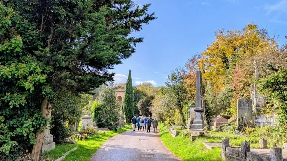 Morbid Curiosity Daytime Tour