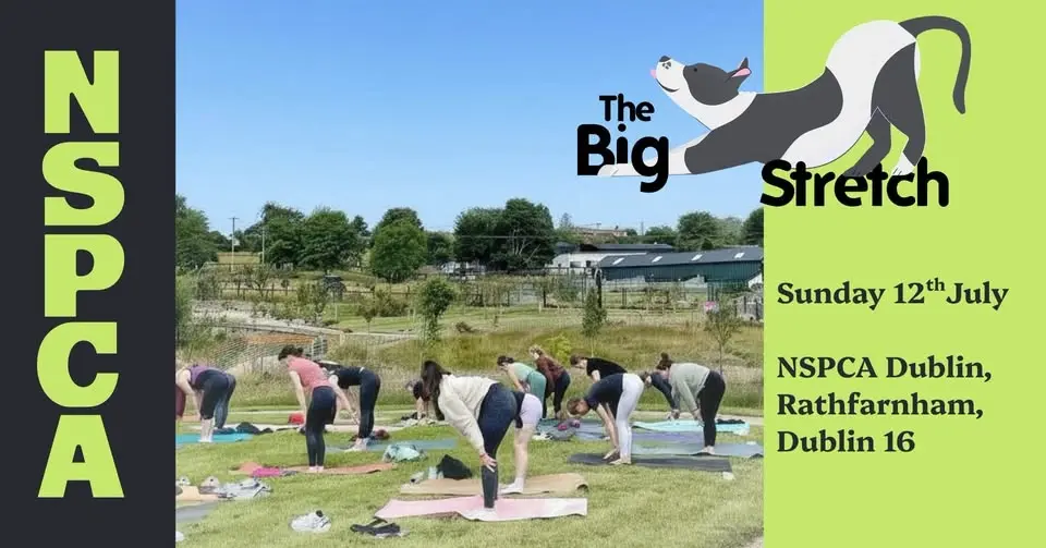 The Big Stretch