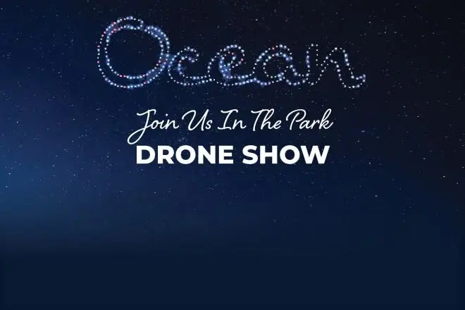 Drone Shows