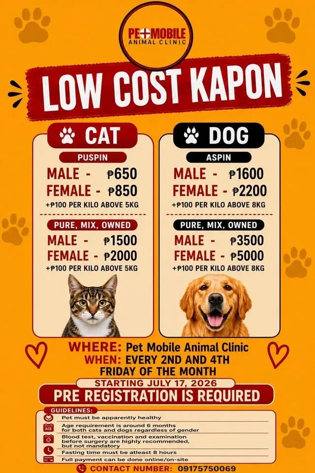Low Cost Kapon