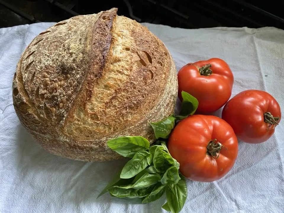 Tomato Sandwich Festival