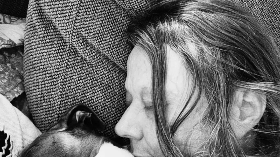 Dyr i litteraturen III: Merete Pryds Helle om hunde