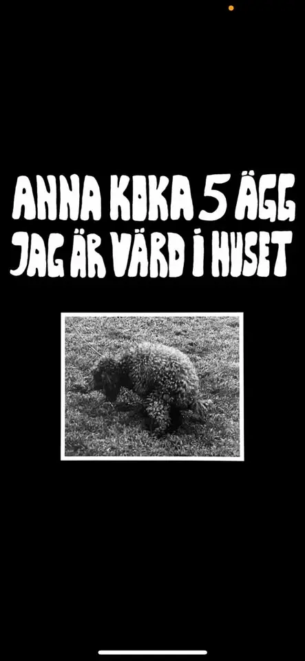 Anna Koka 5 Ägg Jag Är Värd I Huset - live på Scalateatern