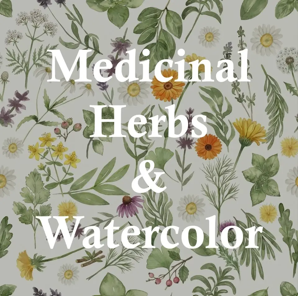 Medicinal Herbs & Watercolor II