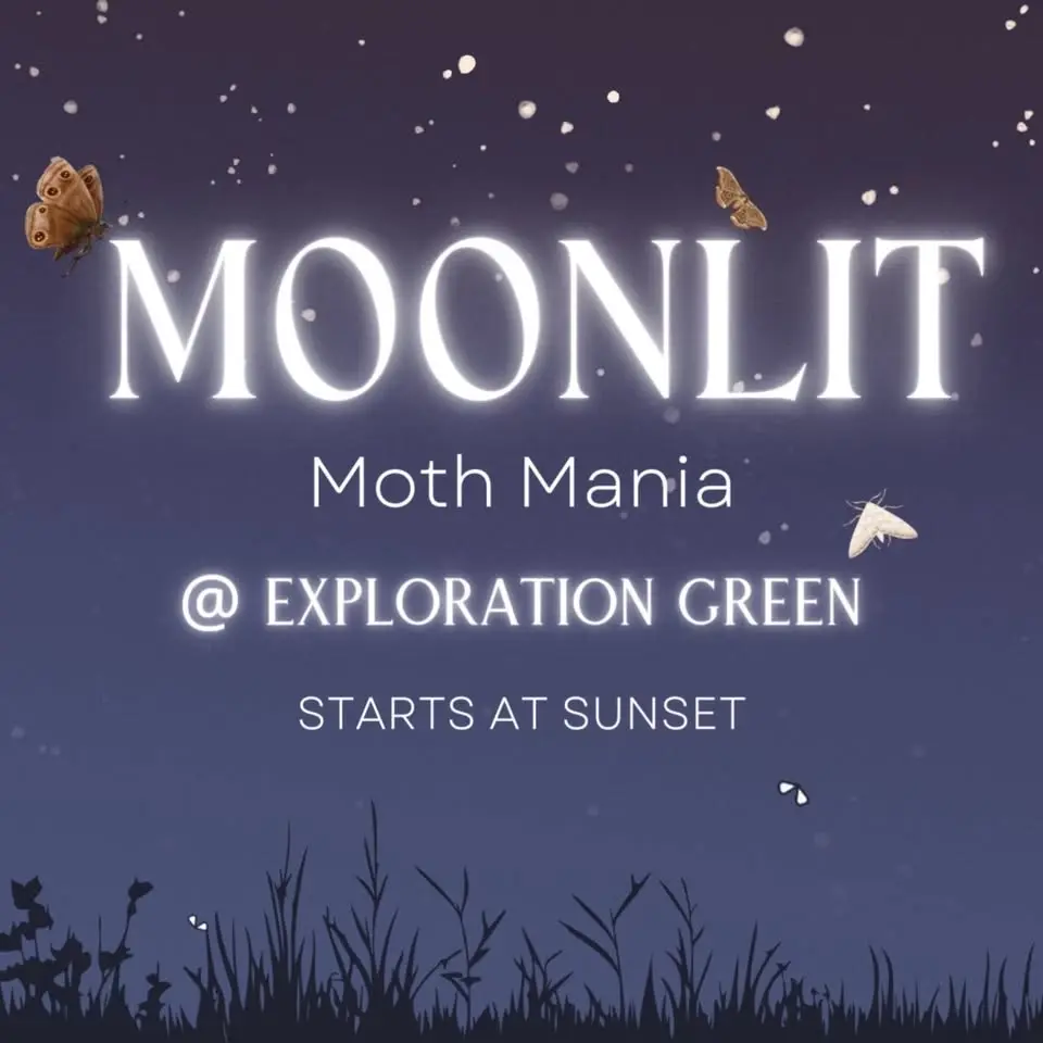 Moonlit Moth Mania