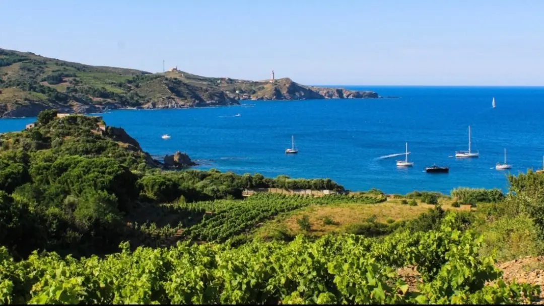 🌊✨ FIN DE SEMANA EN LA COSTA VERMELLA ✨🌊COLLIOURE · PORT-VENDRES · CERBÈRE 😍