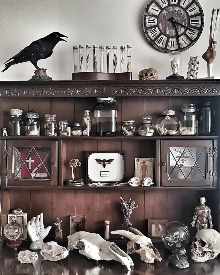 Oddities and Curiosities Market at Willey Farms